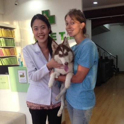 เคสน้องหมาเผลอกินถุงเท้า 